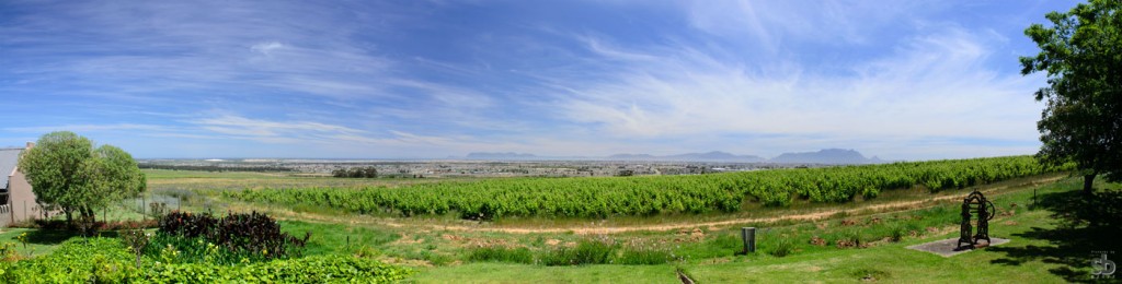 za_stellenbosch_15